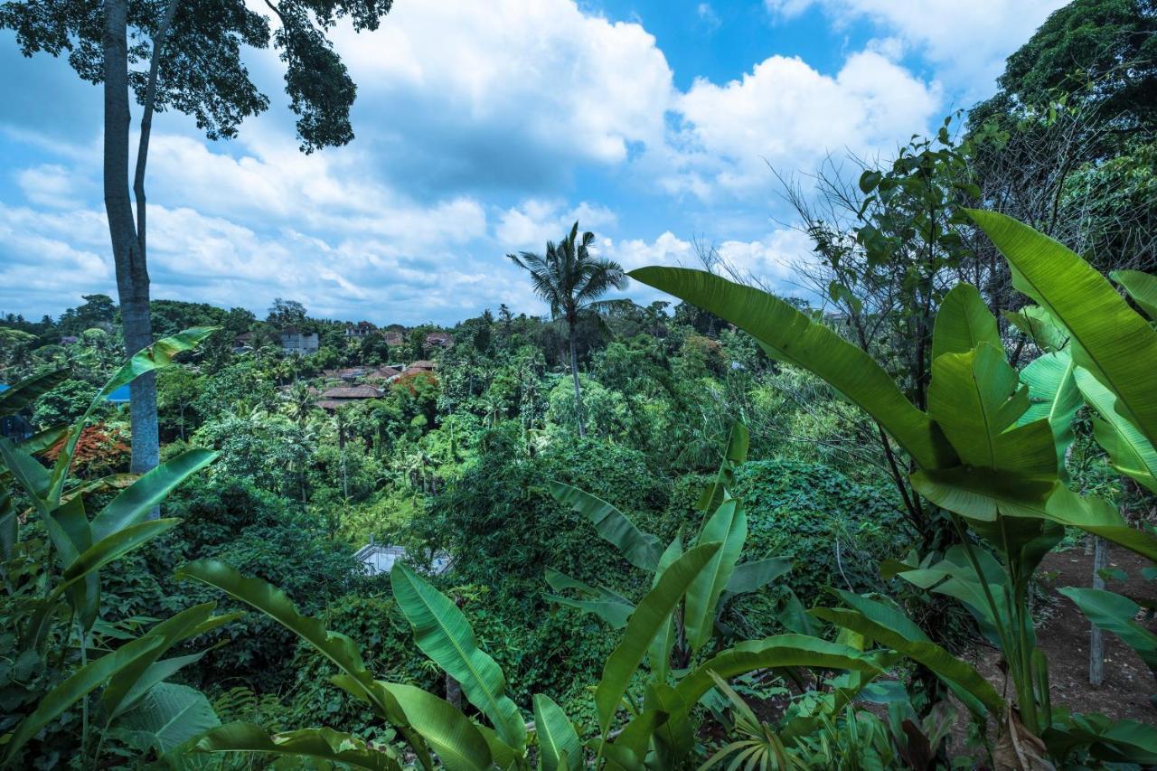 Murni'S Houses & Spa Ubud Eksteriør billede